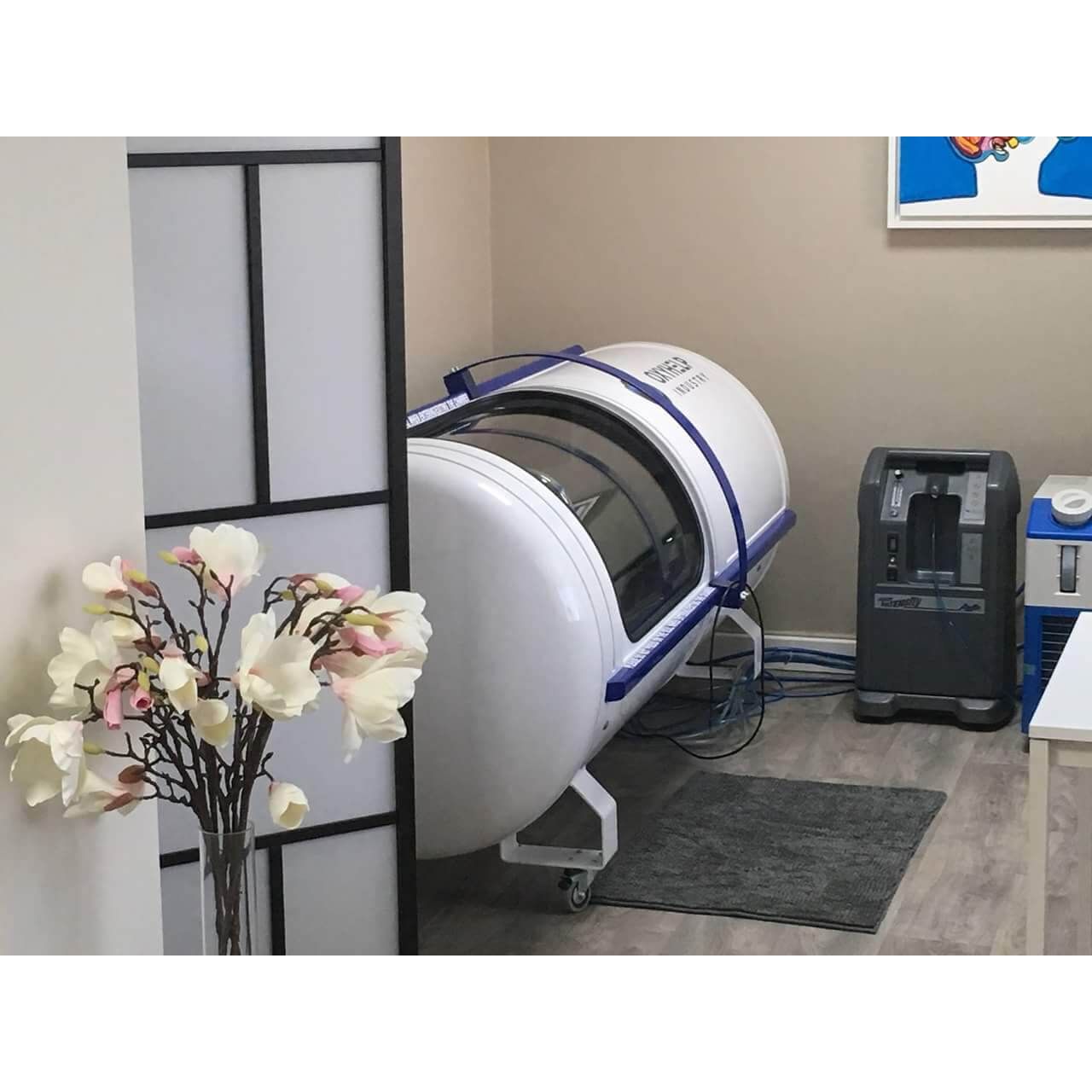 OxyHelp Monoplace 2.0ATA Premium Oxygen Therapy Chamber