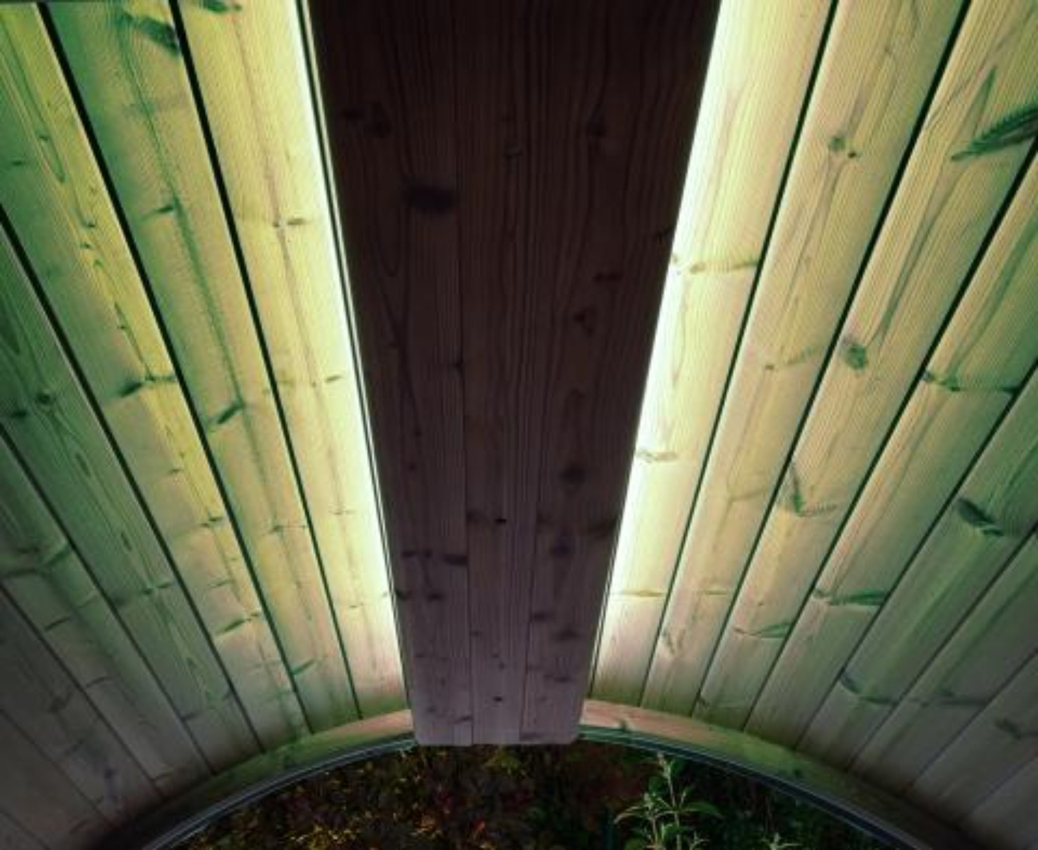 SaunaLife Ergo Series Emood Color Lighting & Electrical Enclosure